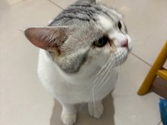 -平行世界·猫咖(首经贸店)