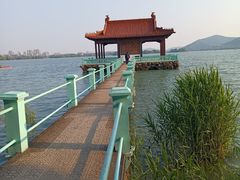 -无锡蠡湖国家湿地公园-蠡园