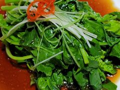 -丹江渔村(首都机场店)