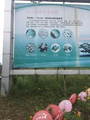 -水八仙生态园