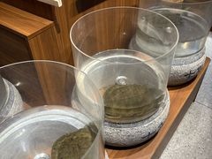 -映月潭传家菜(易俗河店)