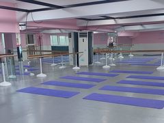 -蒲公英舞蹈艺术中心(解放路校区)