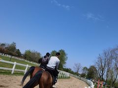 -杭州湾海上花田景区