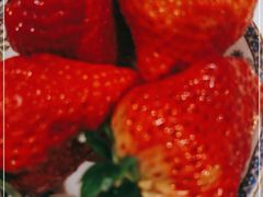 -旺顺阁海鲜广场(亚运村店)