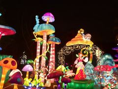 -重庆海昌加勒比海水世界