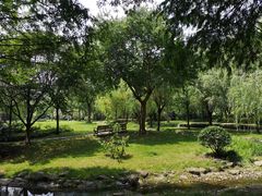 -苏州河梦清园环保主题公园