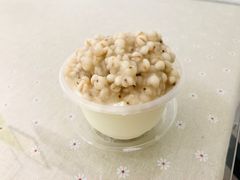 -老周记顺德双皮奶
