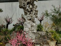 -拙政园