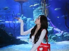 -沈阳海洋探索中心