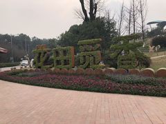 -铁山坪森林公园