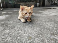 -金利茶餐厅(中船汇店)