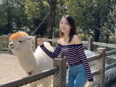 -珠海海泉湾神秘岛亲子乐园