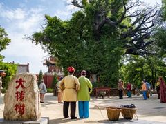 -大槐树寻根祭祖园