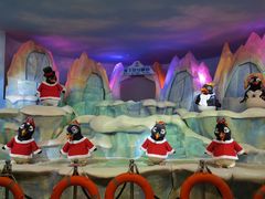 -帝企鹅自助餐厅•儿童岛•真企鹅(长隆企鹅酒店)