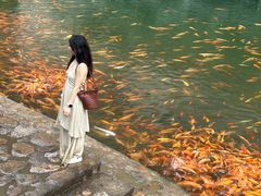 -楠溪江风景名胜区