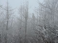 -南岳衡山风景名胜区-南岳大庙
