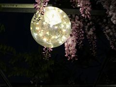 -嘉定紫藤园