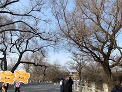 -北陵公园