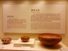 -河南博物院
