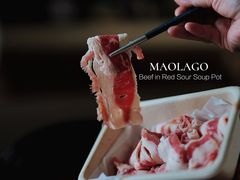 -毛辣果·酸(OHA复兴西路店)