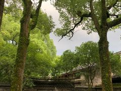 -天一阁博物院
