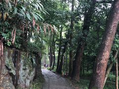 -峨眉山报国寺