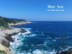 -广东惠东海龟国家级自然保护区