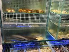 -吕氏焗小鲜•海鲜青岛菜(总店)