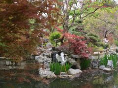 -上海醉白池公园