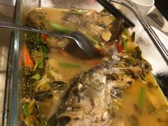 -龙记烧腊茶餐厅(常德路店)