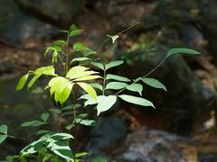 -飞霞风景名胜区