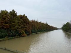 -上海海湾国家森林公园