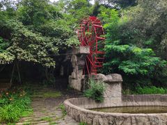 -沈阳植物园