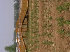 -北京东方普罗旺斯薰衣草庄园