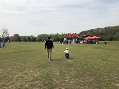 -合肥三国新城遗址公园