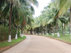 -白沙门生态公园