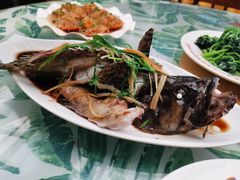 -四姑娘川味海鲜(八爪鱼店)