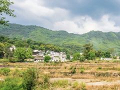 -塔川景区