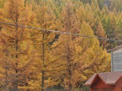 -苏木山森林公园