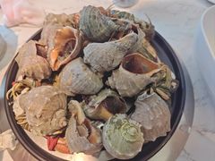 -半岛听涛蒸汽海鲜自助(K11店)