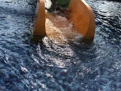 -林丰温泉度假山庄