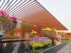 -海心沙亚运公园