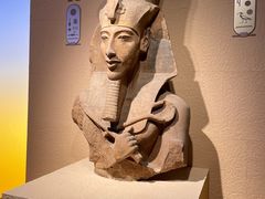 -上海博物馆(人民广场馆)