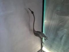 -苏沐堂全息足浴·SPA·按摩(万科美好广场店)