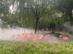 -石家庄市动物园