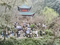 -岳麓山风景名胜区