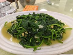 炒红薯叶-惠来大排档(联创商业街店)
