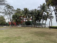 -深圳湾公园(南山区)