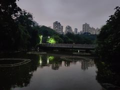 -龙头寺公园