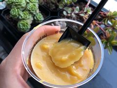 豌豆黄杯-南来顺饭庄·清真(南菜园店)
